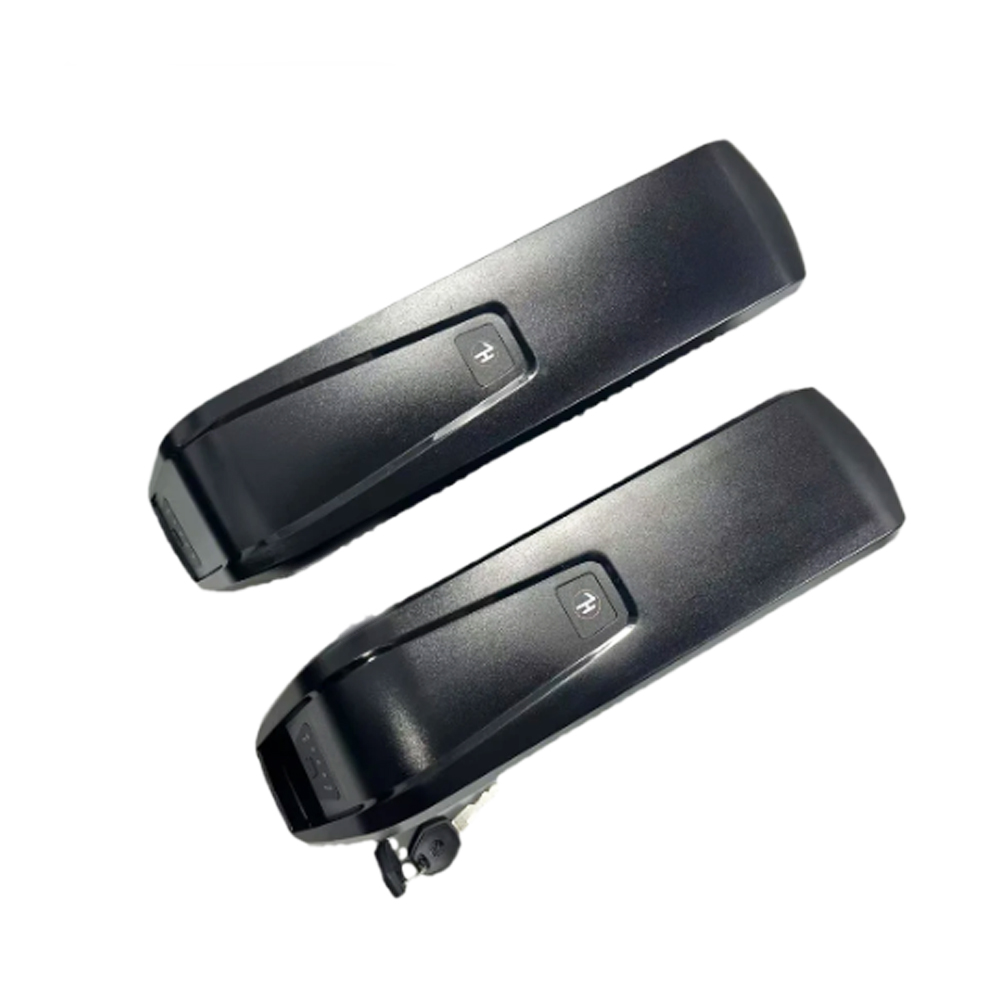 Batteria Hailong Shark Mountai - Ebike Battery 48V 20Ah Hailong recensione e prezzo