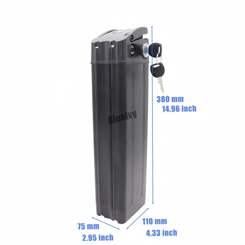 Batteria di Ricambio 36V 48V 2 - Ebike Battery 48V 20Ah Hailong recensione e prezzo